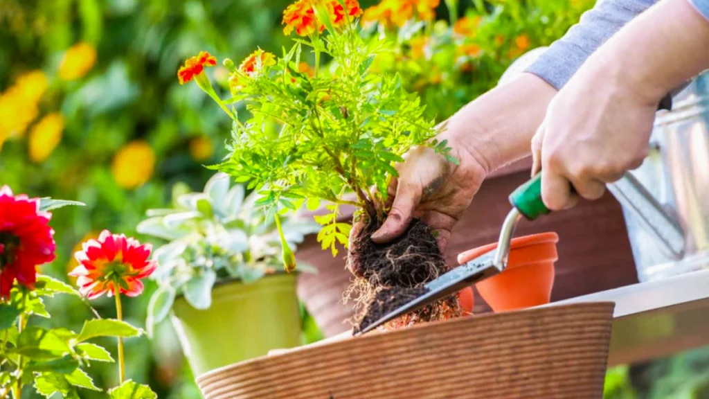 How is Gardening Beneficial For Our Mental Health_