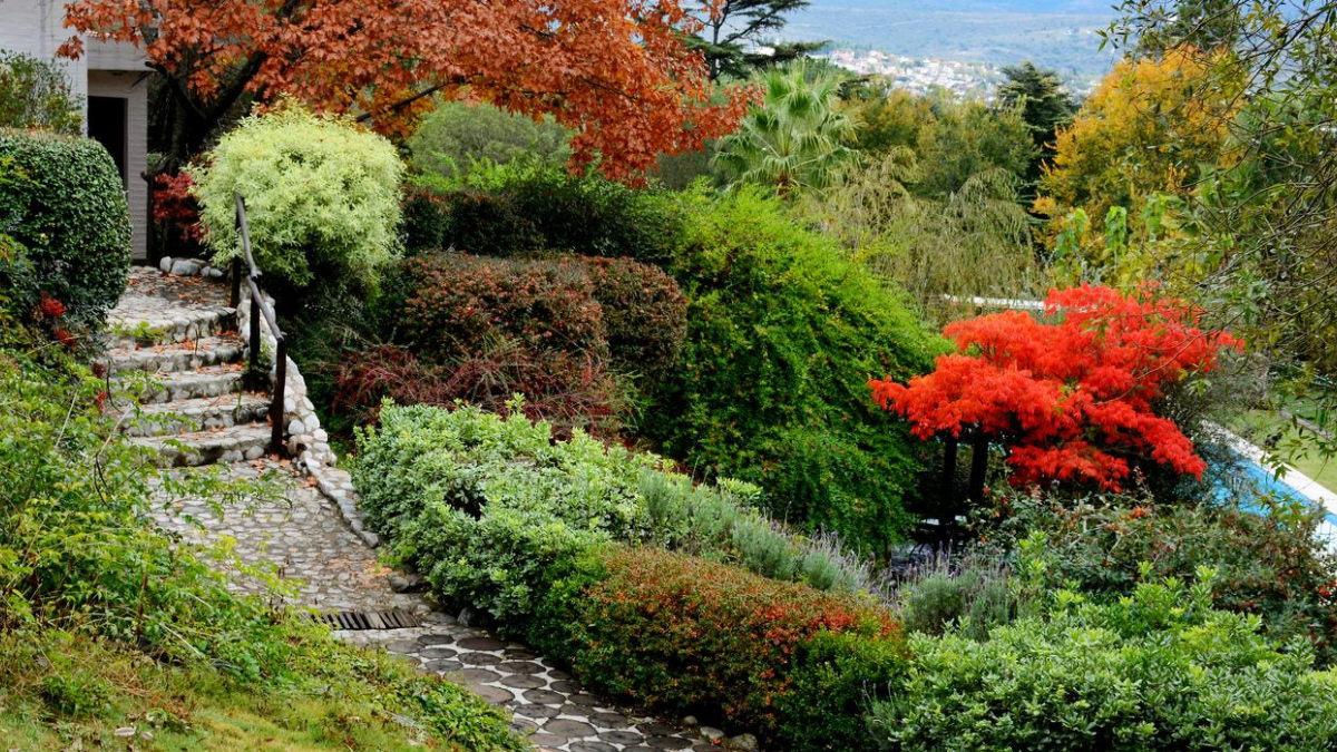 Best Plants to Grow on a Sloped Landscape