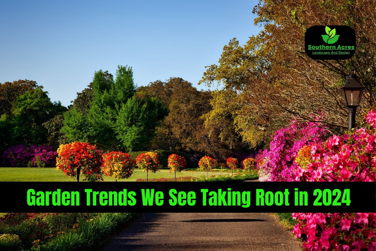 Garden Trends We See Taking Root in 2024