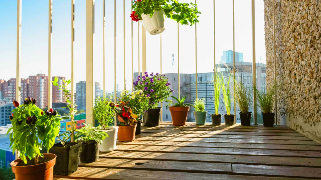 How to Create a Balcony Garden?